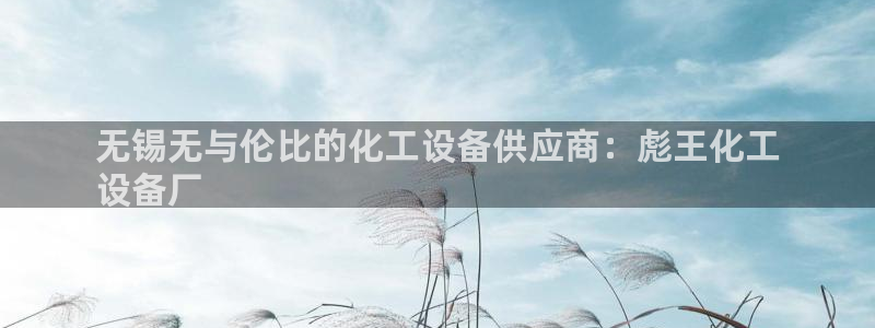 新城平台注册网址:无锡无与伦比的化工设备供应商:彪 新城平台注册网址:无锡无与伦比的化工设备供应商:彪